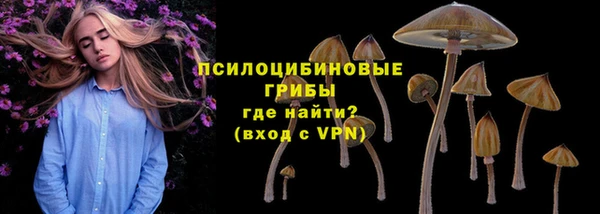 a pvp Вязники