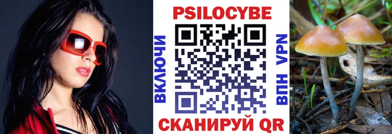 Купить закладки  Кодинск  Псилоцибиновые грибы Magic Shrooms 